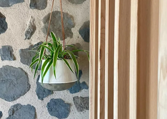 Abri Tiny House * Murat (Cantal)