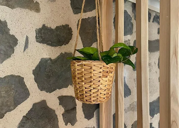 Abri Tiny House Ferienhaus